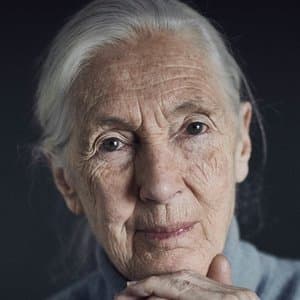 Jane Goodall