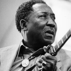 Muddy Waters