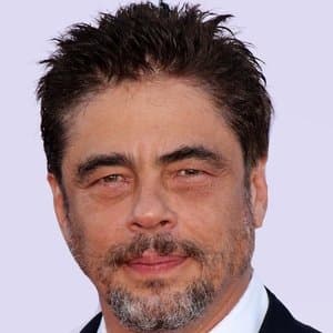 Benicio del Toro