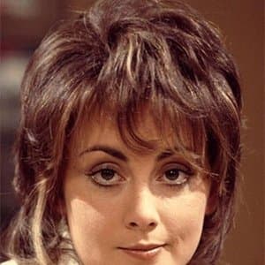 Paula Wilcox