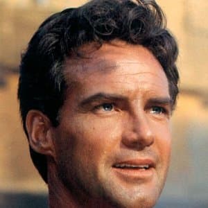 Steve Reeves